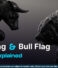 Bull Flag and Bear Flag Trading Explained